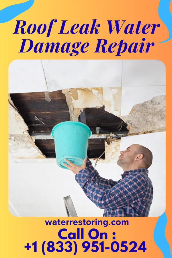 Roof Leak Water Damage Repair in Shenandoah, TX